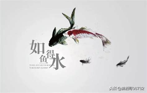 如魚得水